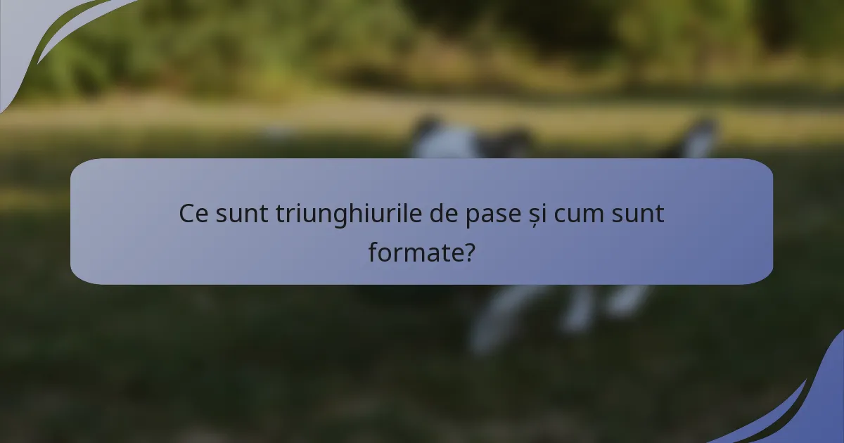 Ce sunt triunghiurile de pase și cum sunt formate?