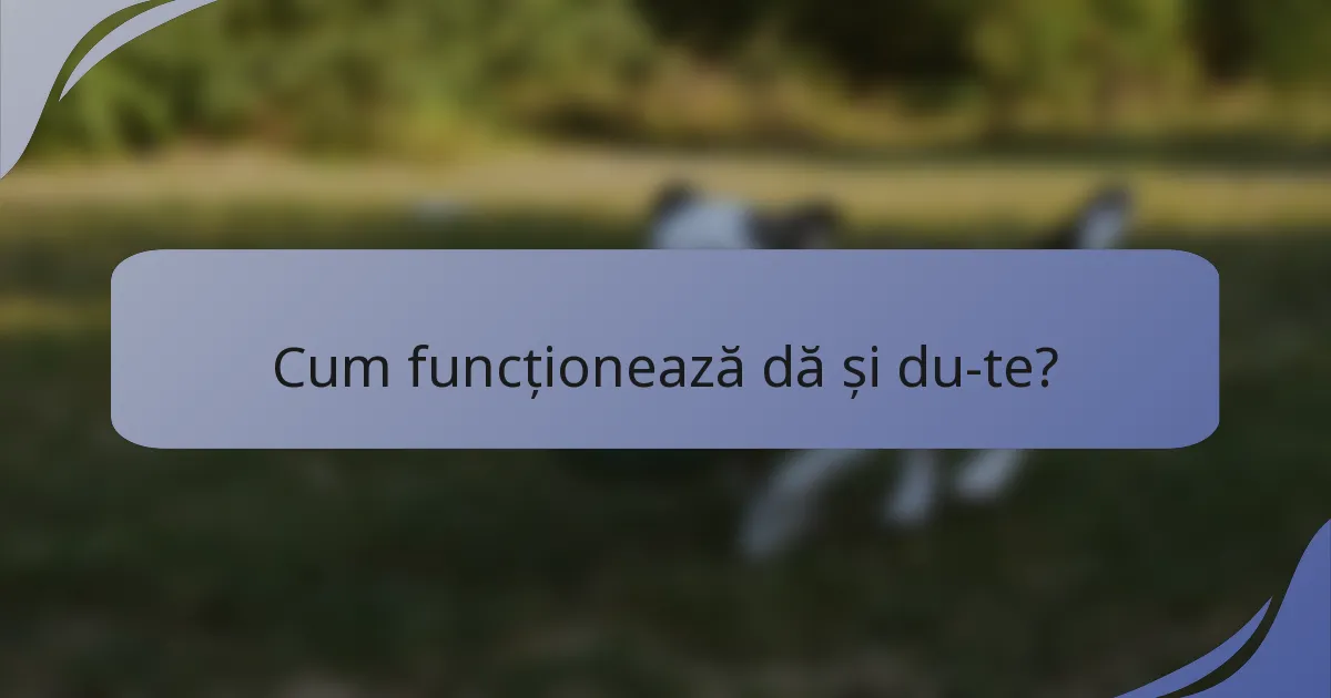 Cum funcționează dă și du-te?