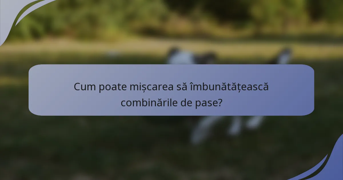 Cum poate mișcarea să îmbunătățească combinările de pase?